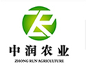 ʾLOGO